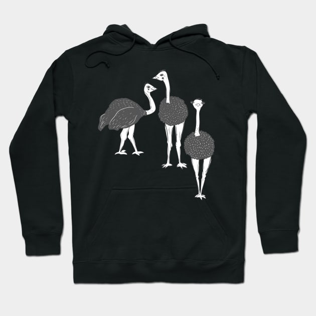 Ostrich Flock Hoodie by Jacqueline Hurd